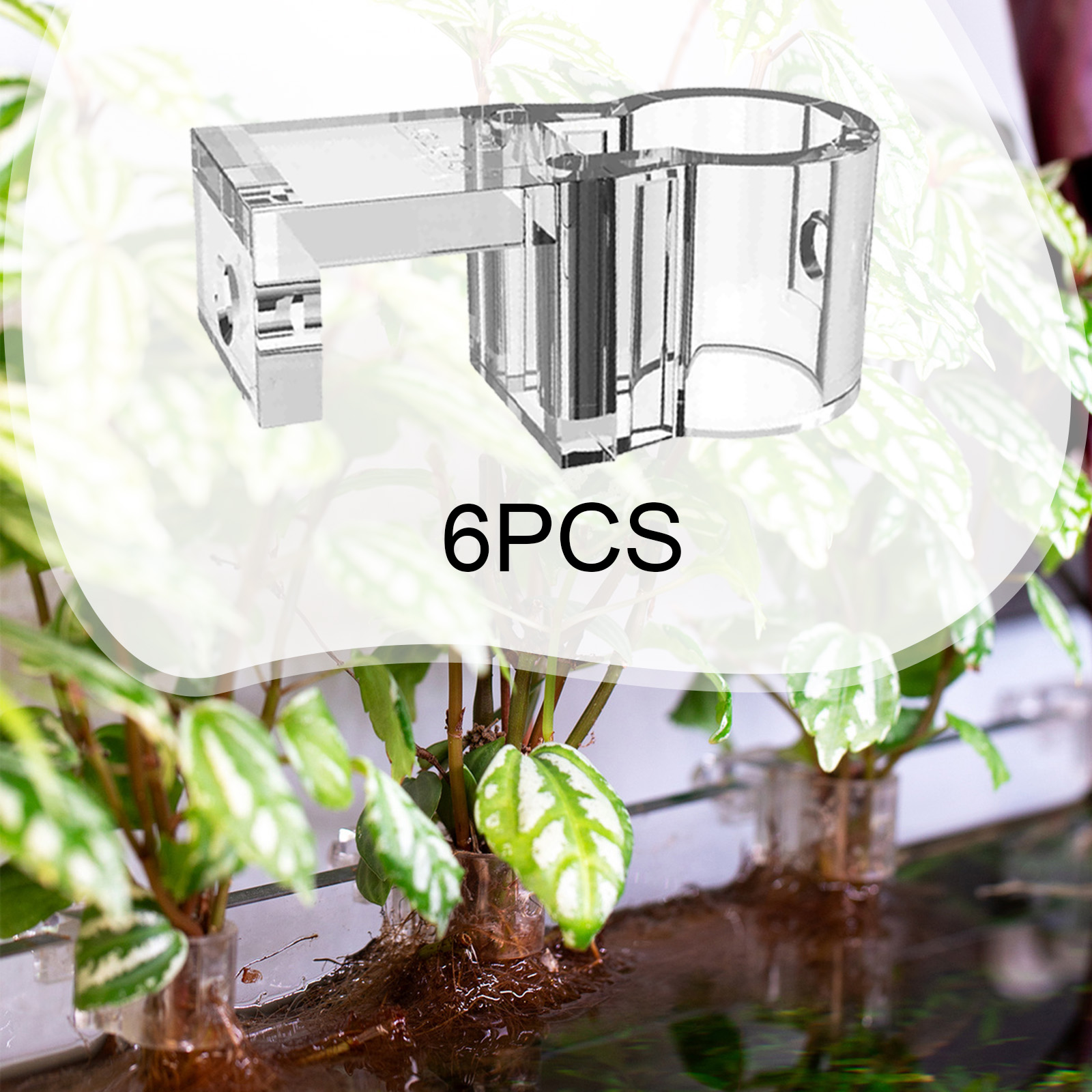 Aquarium Plants Live - 6 Peças de Suporte para Plantas