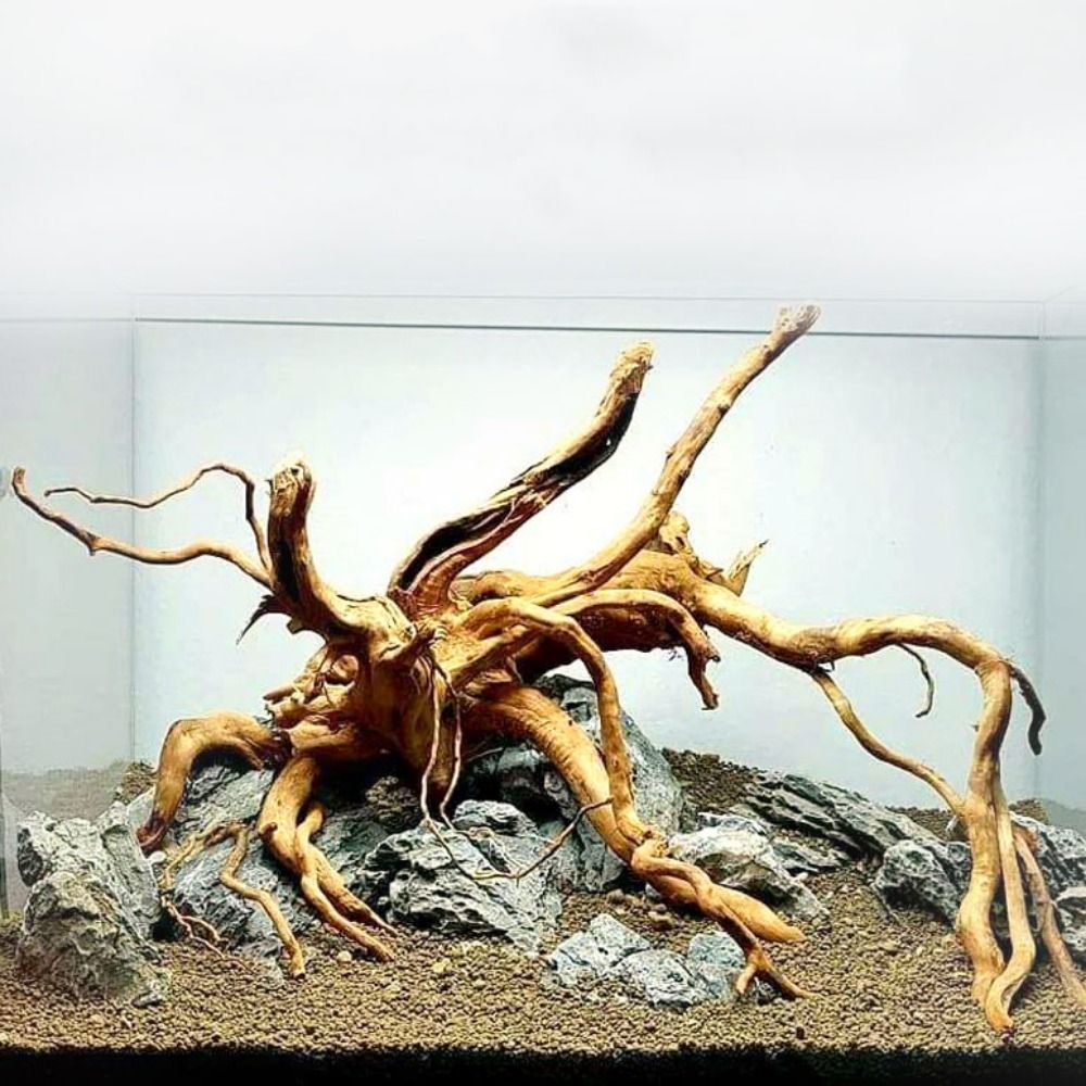 Aquarium Driftwood - Tronco de Madeira Natural Grande para