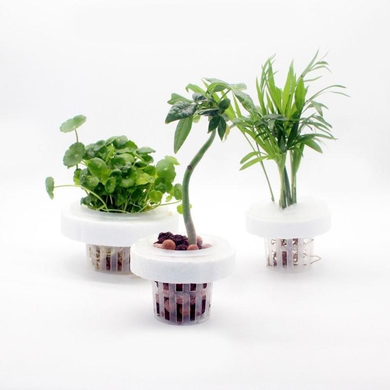 Aquarium Plant Holder - Cesto flutuante para plantas aquáticas, suporte