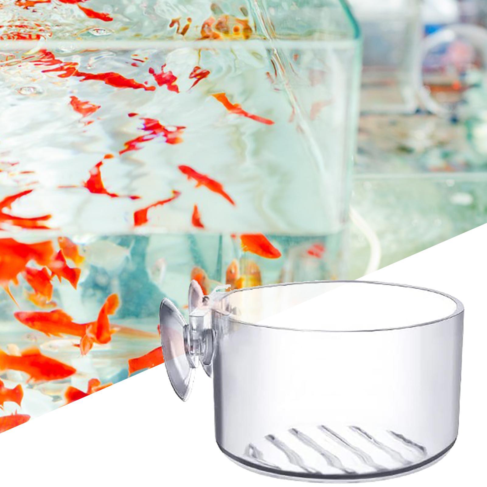 Aquarium Plant Holder - Vaso de Acrílico para Plantas Aquáticas,