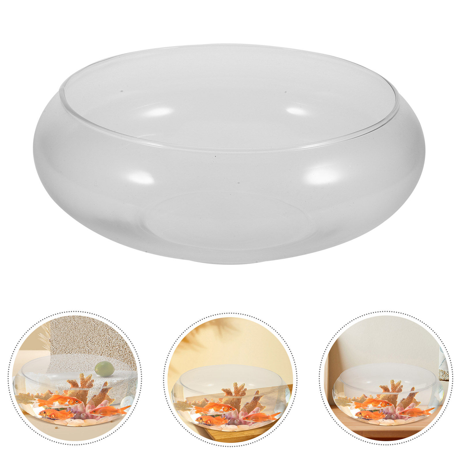 Aquário de Vidro para Peixes,  - Plant Aquarium Pot avaliação e preço