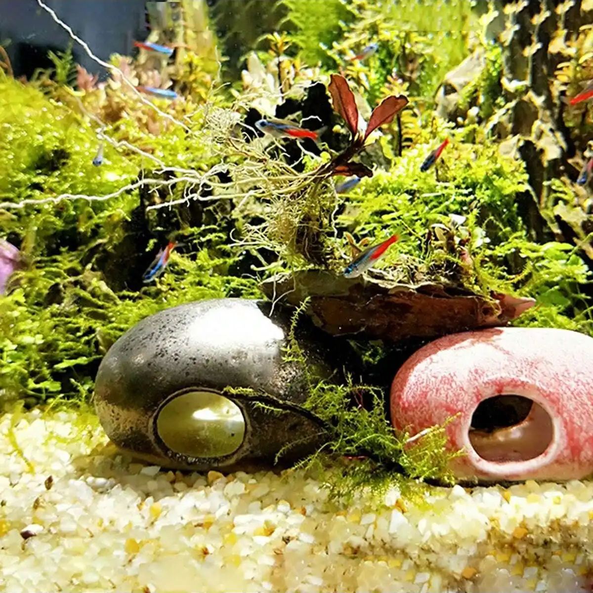 1pc-250g cristais naturais ped - Plant Aquarium Pot avaliação e preço