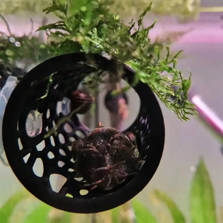 Tubo oco preto para esconderij - Aquarium Plants Live avaliação e preço