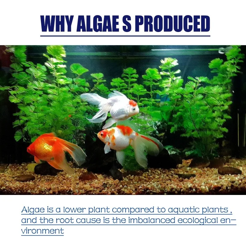 Algaicida de Alta Eficiência 5 - Aquarium Moss avaliação e preço
