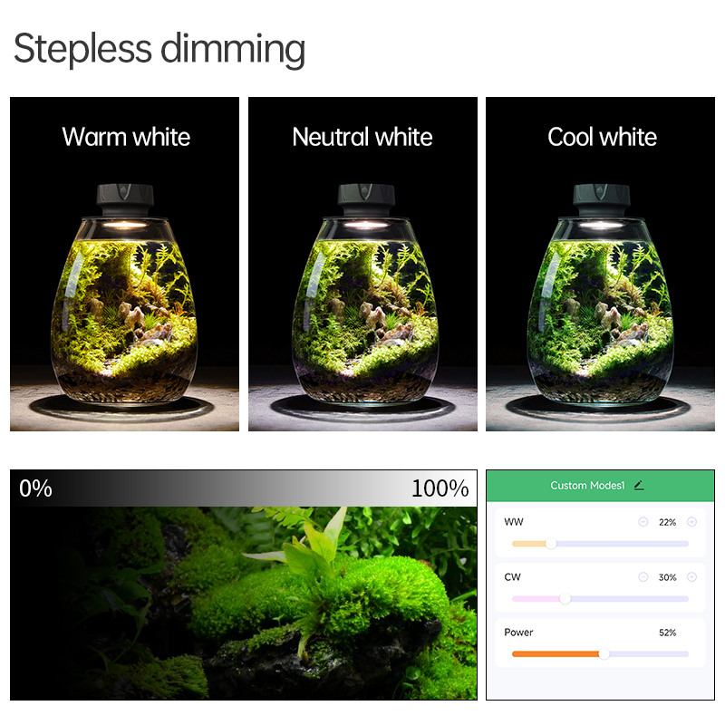 Cob micropaisagem planta luz d - Planted Tank avaliação e preço