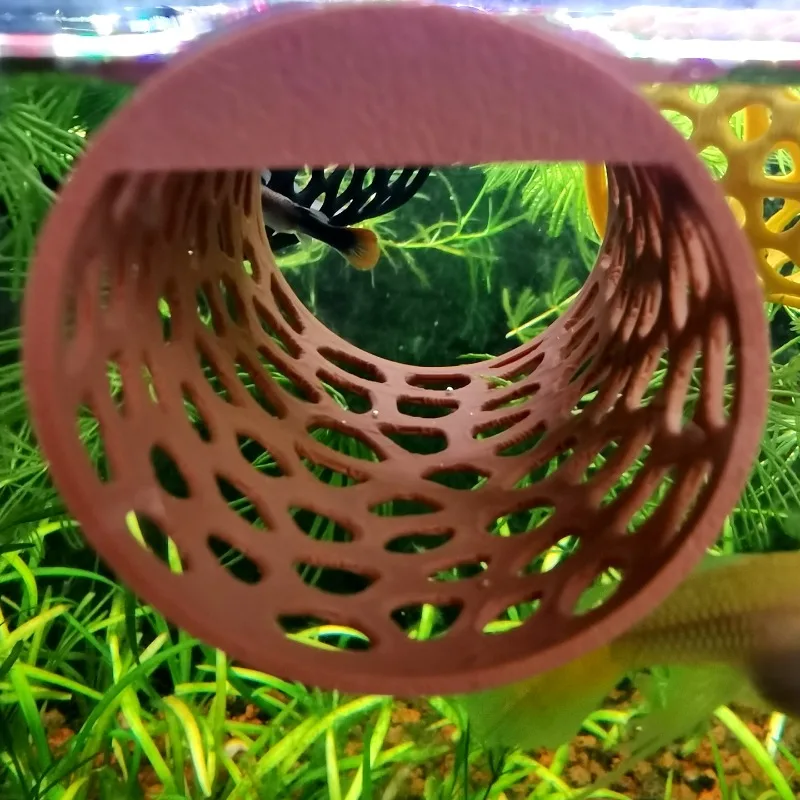 Túnel Flutuante para Betta, Ca - Aquarium Plants Live avaliação e preço