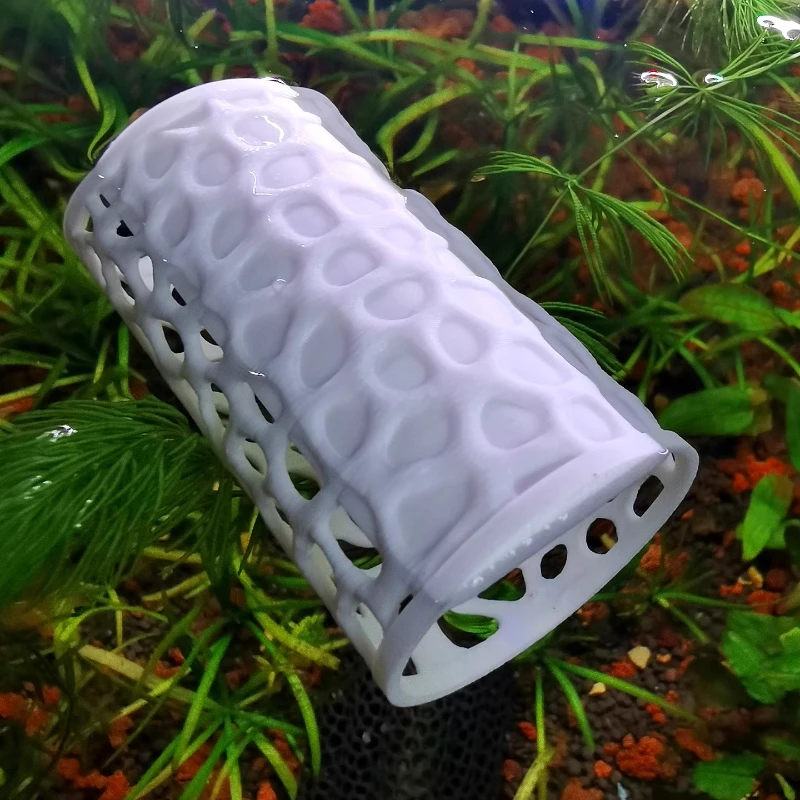 Túnel Flutuante para Betta, Ca - Aquarium Plants Live avaliação e preço