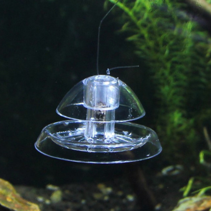 Caracol Armadilha Plástico Aqu - Planted Aquarium Cleaning avaliação e preço