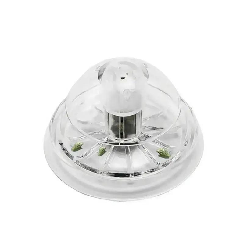 2026 Nova Armadilha de Plástic - Planted Aquarium Cleaning avaliação e preço