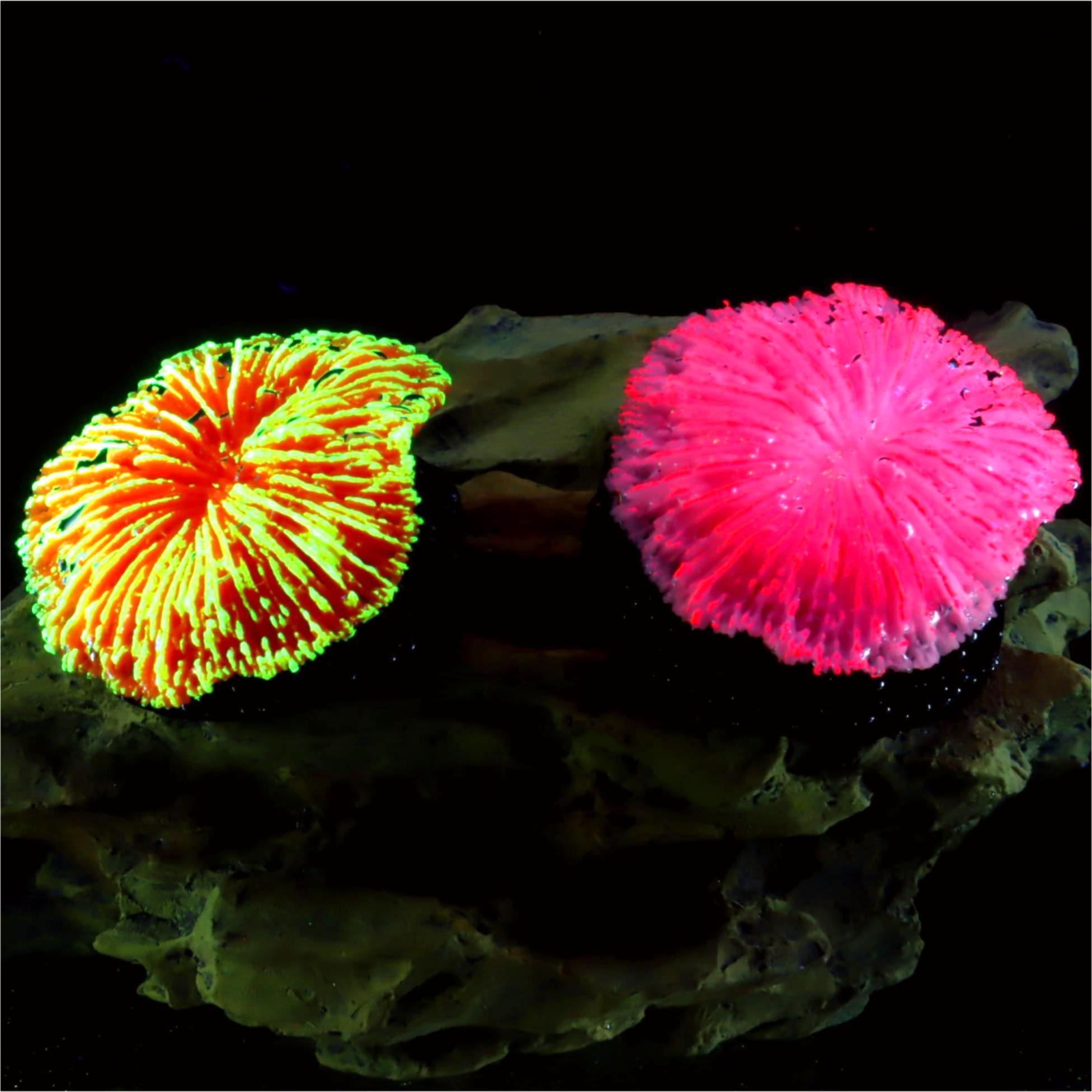 1 Peça de Decoração para Aquár - Live Plant Aquarium avaliação e preço