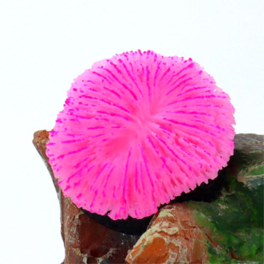 1 Peça de Decoração para Aquár - Live Plant Aquarium avaliação e preço