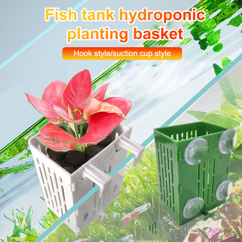 Pendurado ventosa gancho aquár - Aquarium Plant Holder avaliação e preço