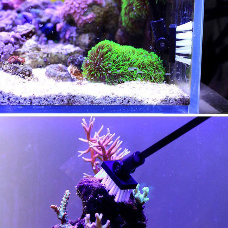 Escova de limpeza de pesca tan - Planted Aquarium Cleaning avaliação e preço