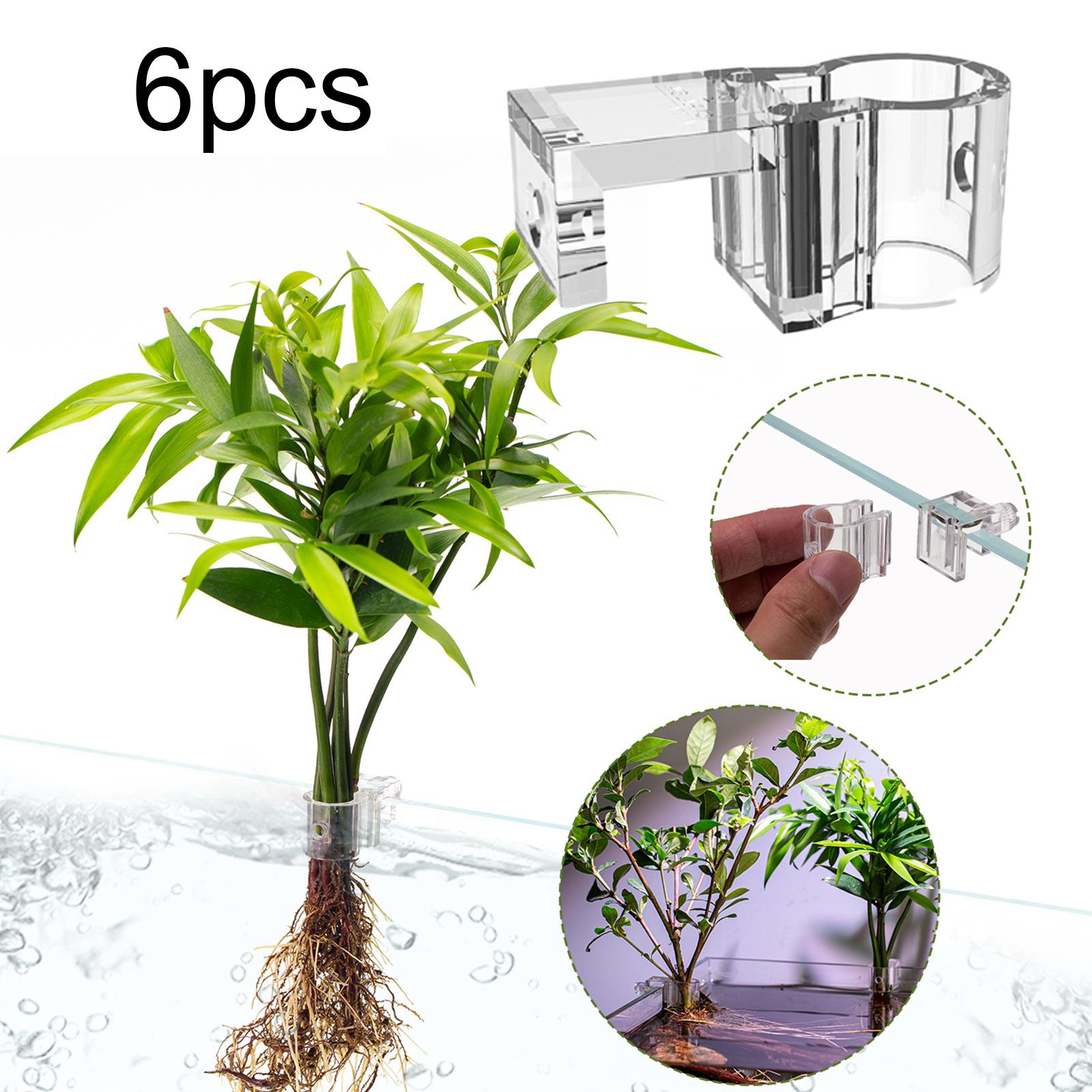 6 Peças de Suporte para Planta - Aquarium Plants Live avaliação e preço
