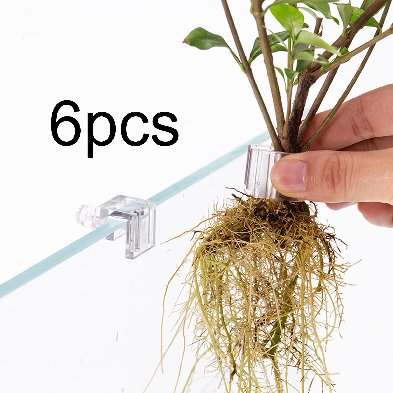 6 Peças de Suporte para Planta - Aquarium Plants Live avaliação e preço