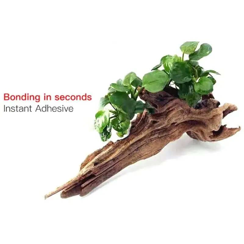 2/5 Peças /3/ Cola Transparent - Aquarium Moss avaliação e preço