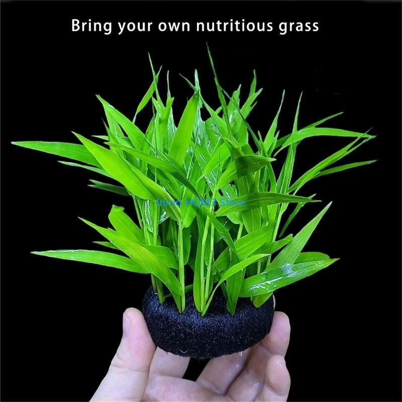 Substrato seguro da planta tra - Aquarium Plant Substrate avaliação e preço