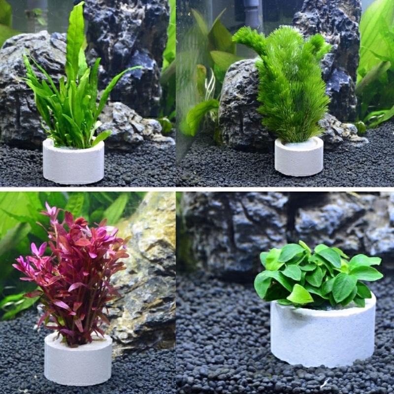 37me 10 peças conjunto anéis f - Aquarium Plant Holder avaliação e preço
