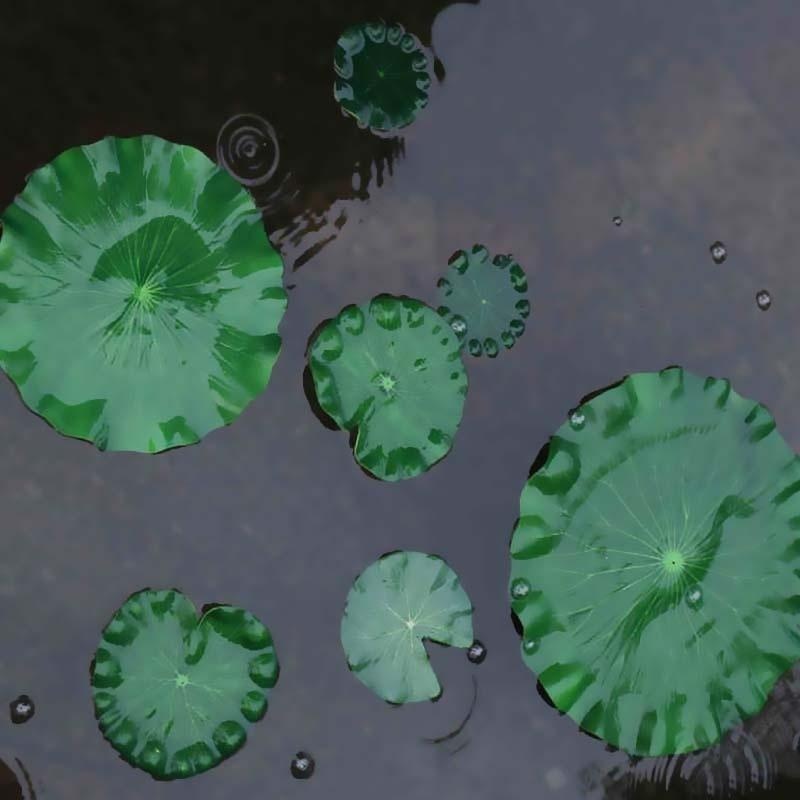 Folhas de Lótus Artificiais 20 - Aquarium Plant Substrate avaliação e preço