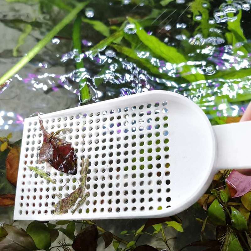 Rede de Limpeza para Aquários  - Planted Aquarium Cleaning avaliação e preço