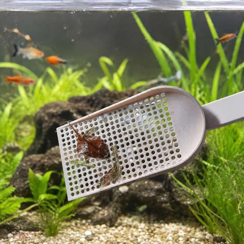 Rede de Limpeza para Aquários  - Planted Aquarium Cleaning avaliação e preço