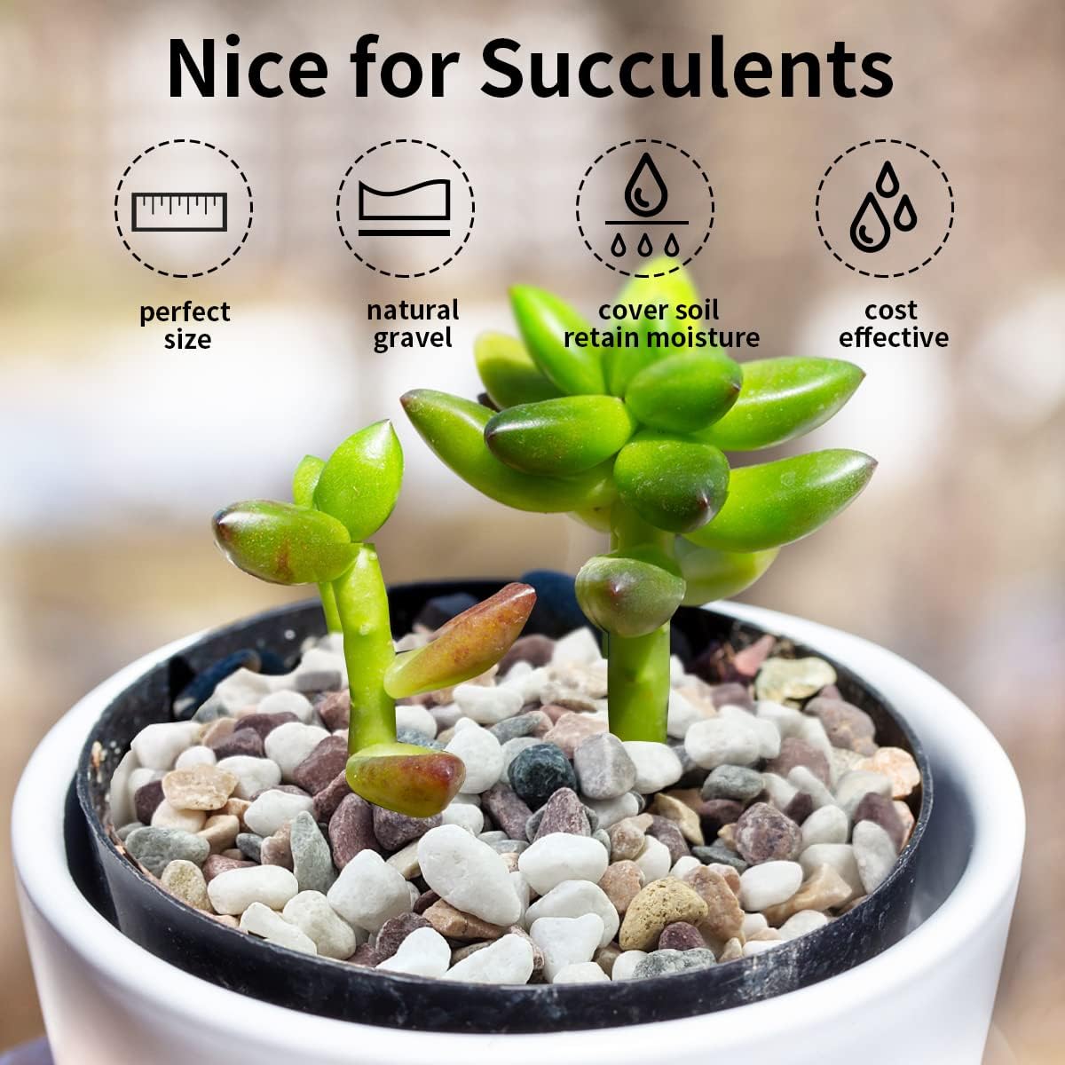 Pedras de cascalho de cores va - Plant Aquarium Pot avaliação e preço