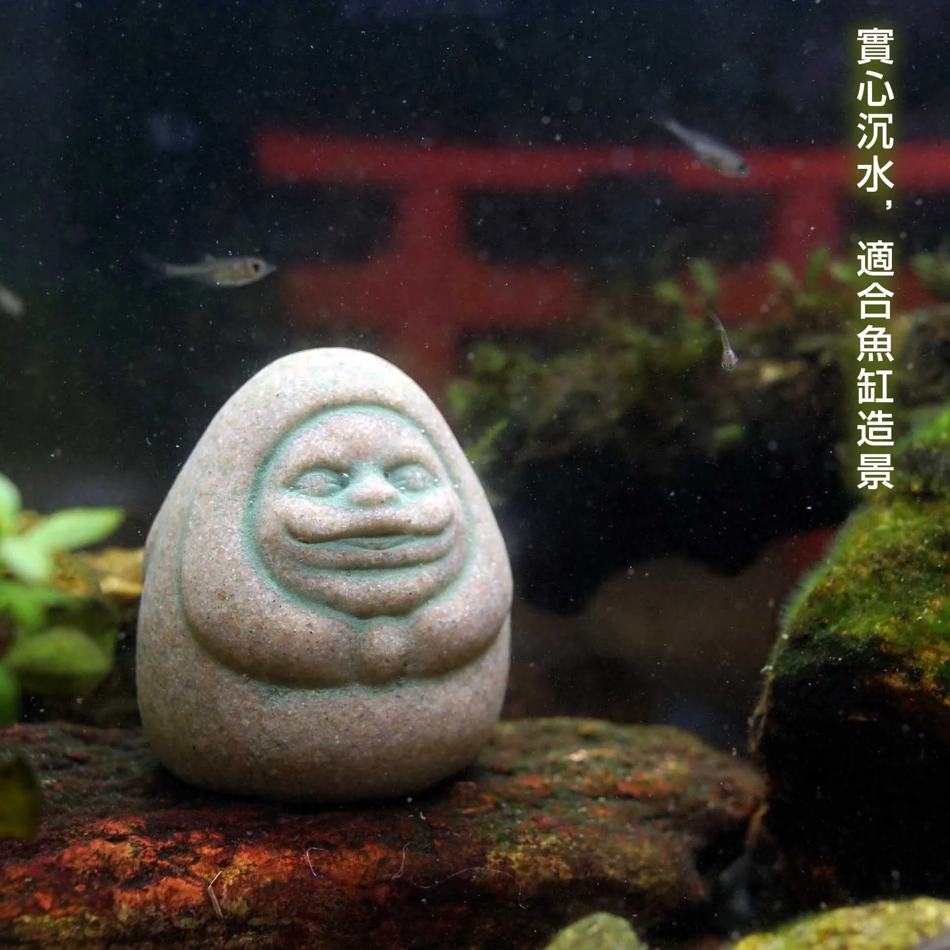 Kaminishi esconder peças de la - Aquarium Moss avaliação e preço