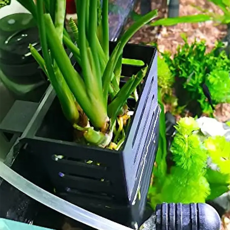 Plástico Quadrado Oco Cesta De - Aquarium Plants Live avaliação e preço