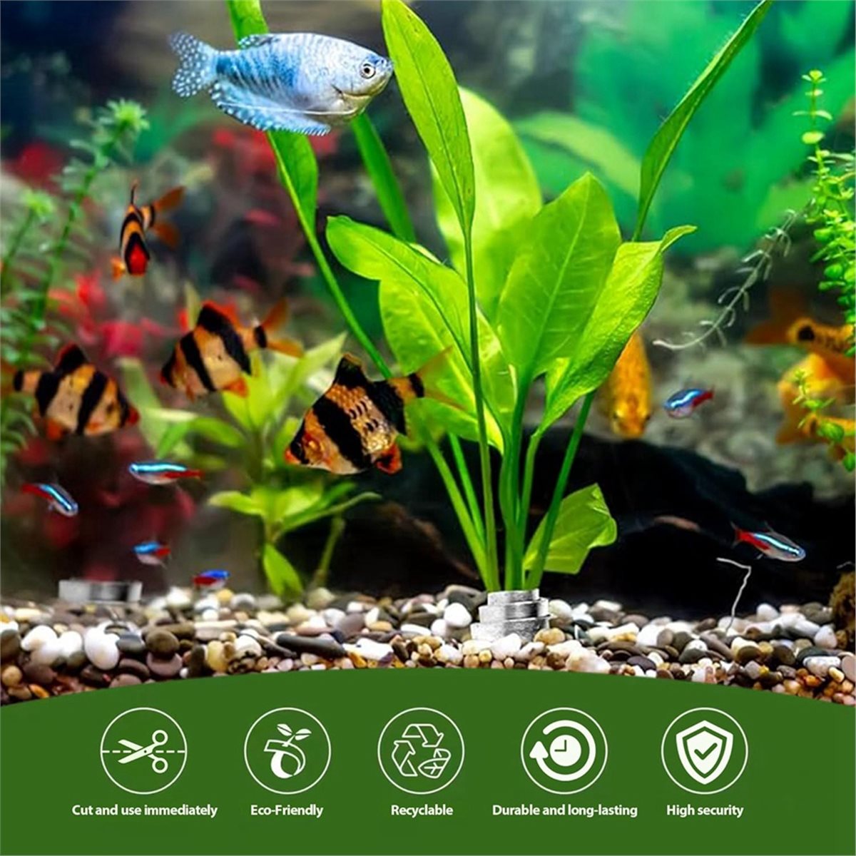 Pesos para Plantas de Aquário  - Live Plant Aquarium avaliação e preço