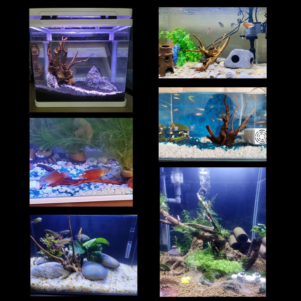 Tronco de Madeira Natural Gran - Aquarium Driftwood avaliação e preço
