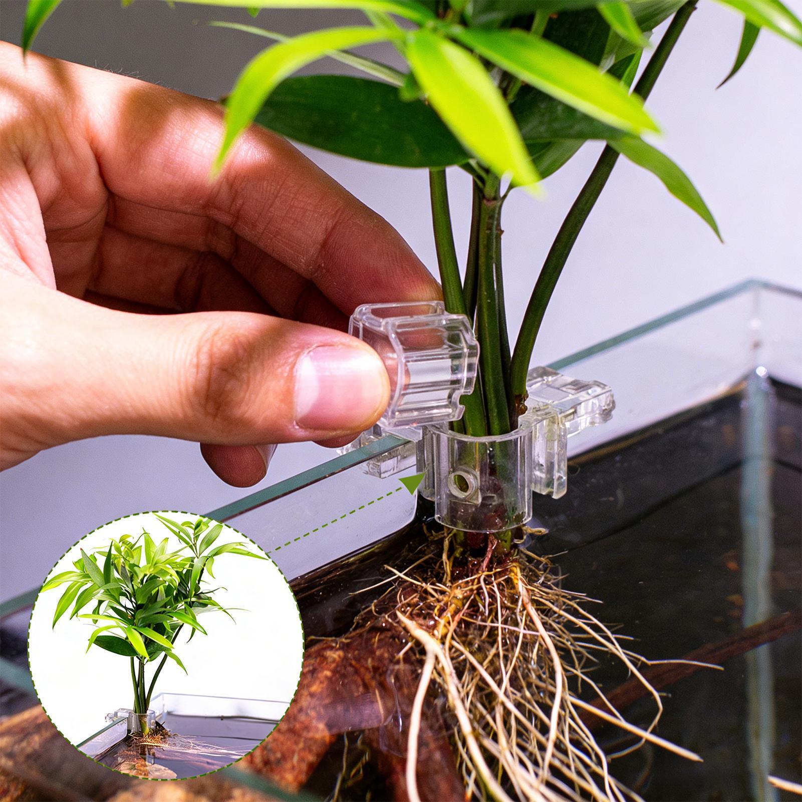 Suportes Transparentes para Pl - Aquarium Plant Holder avaliação e preço