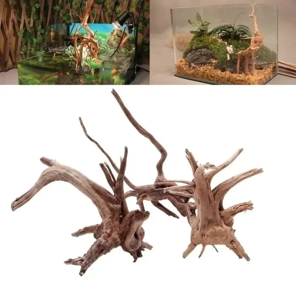 Decoração de Aquário em Madeir - Aquarium Plant Substrate avaliação e preço
