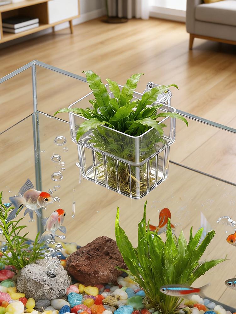 Suporte Transparente para Plan - Aquarium Plant Holder avaliação e preço