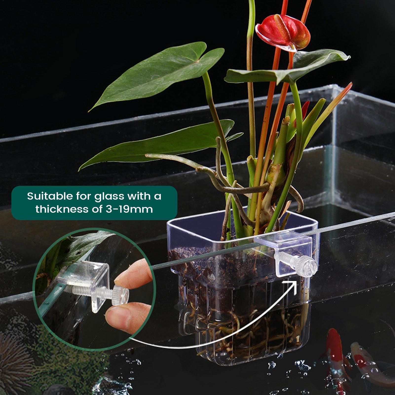 Suporte Transparente para Plan - Aquarium Plant Holder avaliação e preço