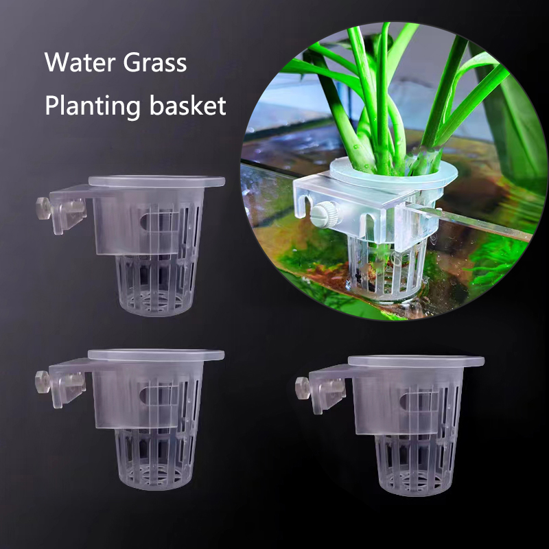 Cesta de plantio de aquário, s - Aquarium Plants Live avaliação e preço