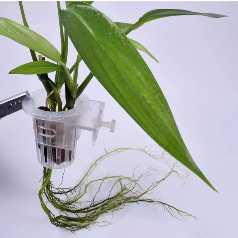 Cesta de plantio de aquário, s - Aquarium Plants Live avaliação e preço