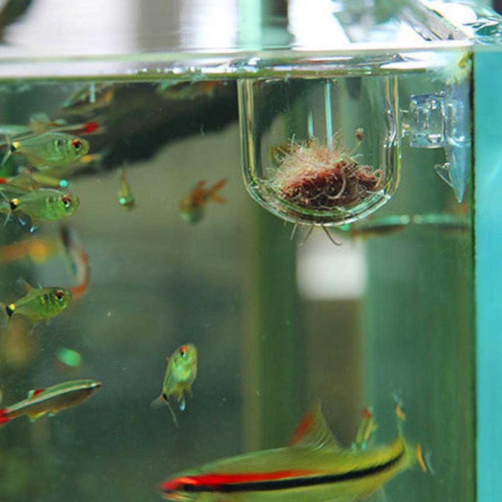 Cesto para alimentar peixes, v - Plant Aquarium Pot avaliação e preço
