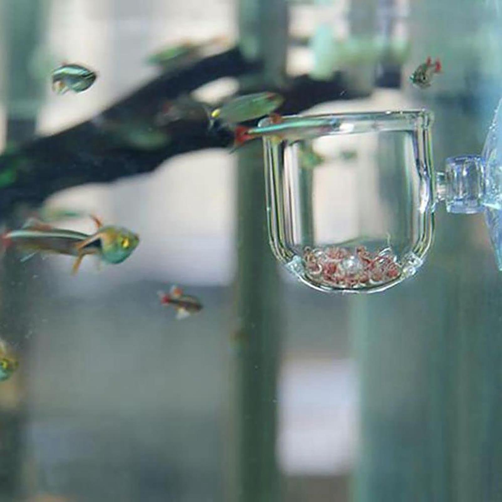 Vaso de Acrílico para Plantas  - Aquarium Plant Holder avaliação e preço