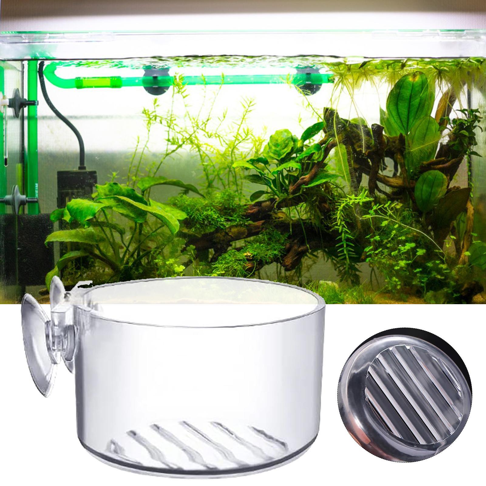 Vaso de Acrílico para Plantas  - Aquarium Plant Holder avaliação e preço