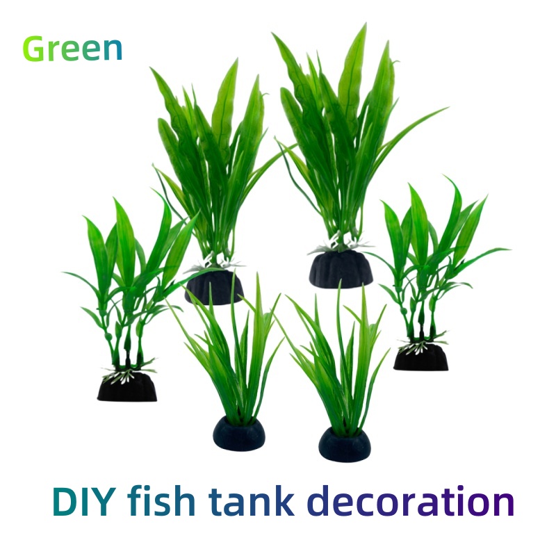 6 unidades de plantas para aqu - Aquarium Plants Live avaliação e preço