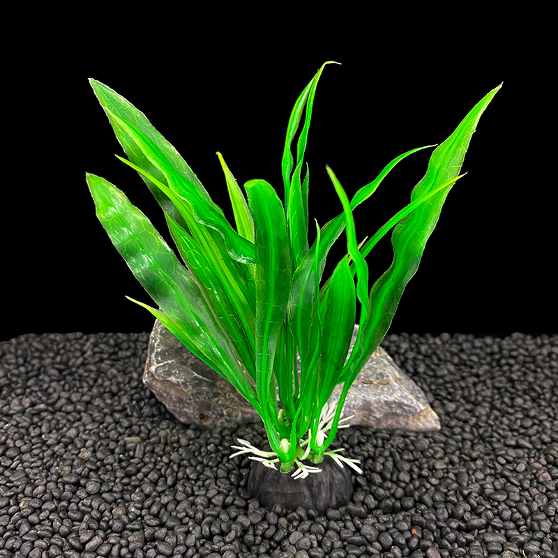 6 unidades de plantas para aqu - Aquarium Plants Live avaliação e preço